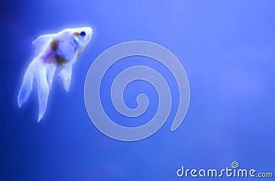 Shining fish outline Stock Photo