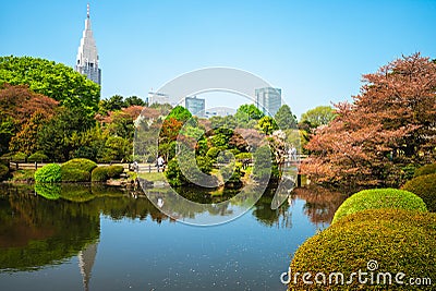 Shinjuku Gyoen with cherry blossom in tokyo, japan Stock Photo