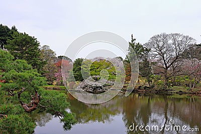 Shinjuku Gyoen National Garden with spring cherry blossom (sakura) in Shinjuku Stock Photo