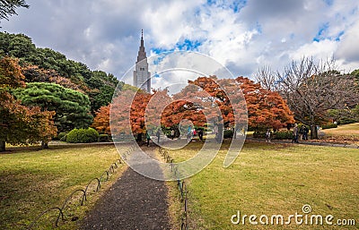 Shinjuku Gyoen Park in autumn, Tokyo, Japan Stock Photo