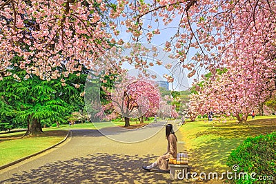 Shinjuku Gyoen Sakura Editorial Stock Photo