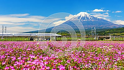 Shinkanzen or Bullet train with Mt. Fuji Editorial Stock Photo