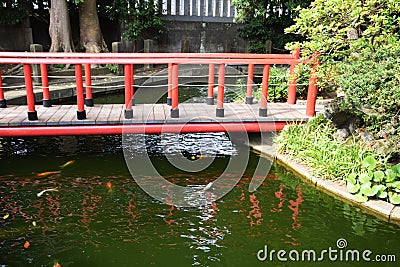 Shinto shrine precincts Stock Photo