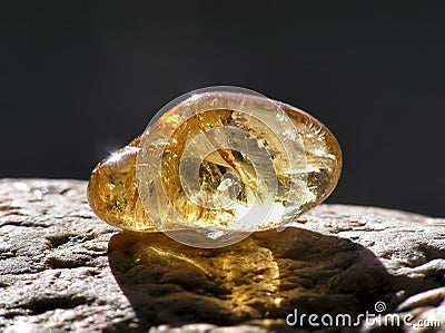 Shiny amber Stock Photo