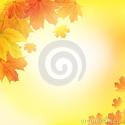 Shiny Autumn Leaves Banner Background. Vector Illustration Vector Illustration