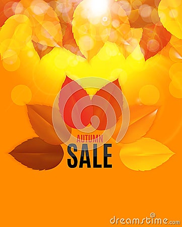 Shiny Autumn Leaves Sale Banner. Business Discount Card. Vector Illustration Vector Illustration