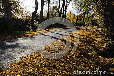 Shiny colorful road Stock Photo