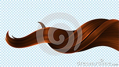 Shiny Healthy Brown Hair Lock. Bright Sparkling Curls. Vector Realistic 3d Illustration Vector Illustration