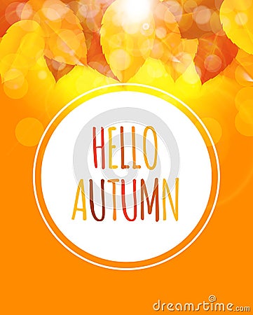 Shiny Hello Autumn Natural Leaves Background. Vector Illustration Vector Illustration