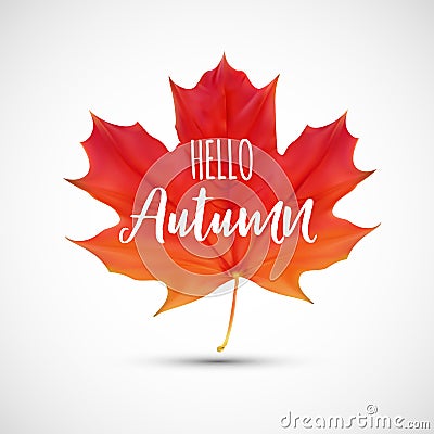 Shiny Hello Autumn Natural Leaves Background. Vector Illustration Vector Illustration