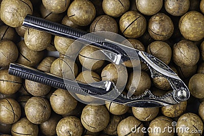 Shiny metal nutcracker lying on macadamia nuts Stock Photo