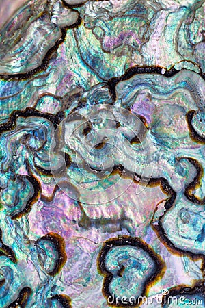 Shiny nacre of Paua or Abalone shell background Stock Photo