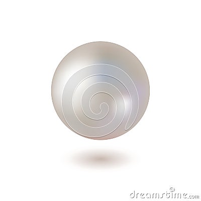 Shiny Pearl on White Background. Vector Vector Illustration