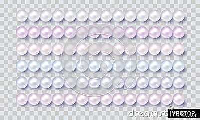 Shiny pearls collection isolated on transparent background. Vector illustration. Pearl set. Wedding design with pearl necklace Vector Illustration