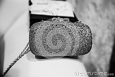 Silver Ladies Purse. Stock Photo