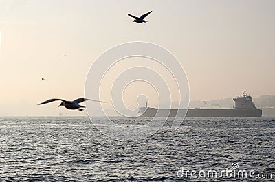 Ship shipping on water Bosphorus, seagulls, sunset, Istanbul Turkey Stock Photo