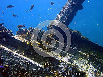 Ship Wreck Virgin Islands, Caribbean Stock Photo