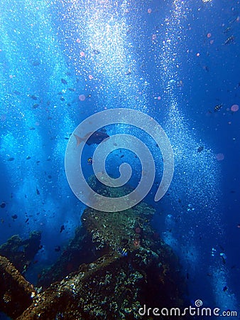 Shipwreck USS Liberty with many diver bubbles - Bali Indonesia Asia Stock Photo