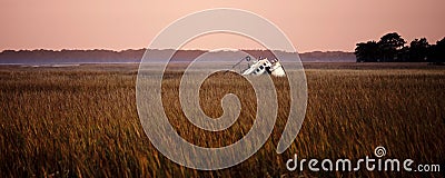 Shipwrecked fishing vessel Stock Photo