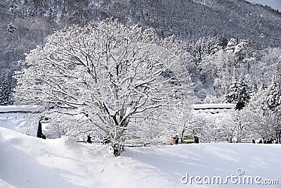 Shirakawa-go Village Stock Photo