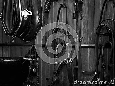 Shire horse harness Stock Photo