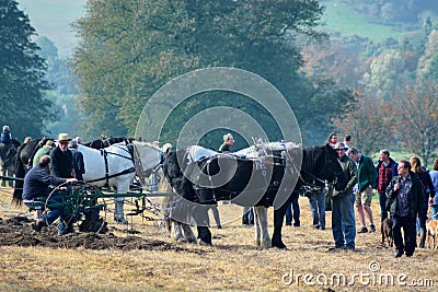 Shire Horse ploughing event & spectators Editorial Stock Photo