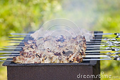 Shish kebab on the grill Stock Photo