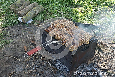 Shish kebab in the nature, barbecue Stock Photo