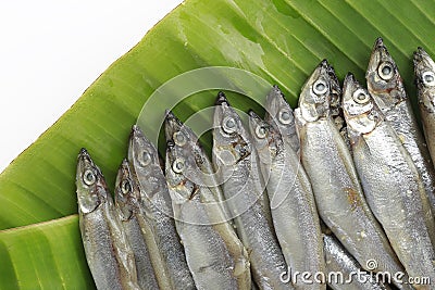 Shishamo fish Stock Photo