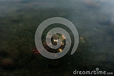 The Shiva statue in Ganga Talao, Grand Bassin. Mauritius, Savanne Stock Photo