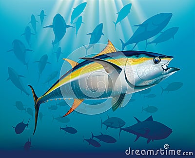 Shoal of yellowfin tuna Vector Illustration