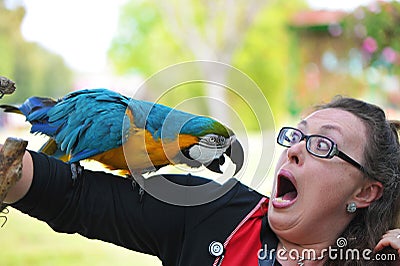 Shock Stock Photo