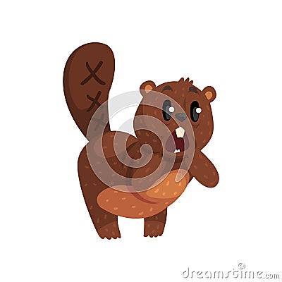 Shocked little beaver standing isolated on white. Cartoon wild animal with brown fur, big white teeth, shaped tail and Vector Illustration