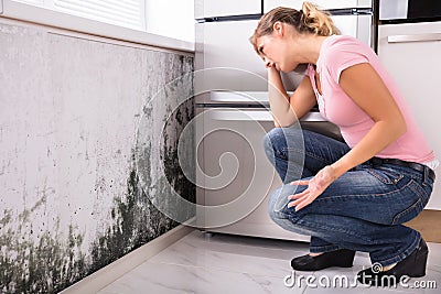 Shocked Woman Looking At Mold On Wall Stock Photo