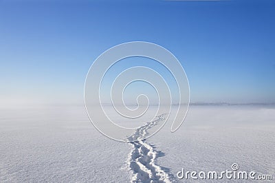 Shoe prints in clean snow Stock Photo