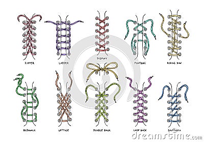 Shoelaces vector shoestring or shoe-laces and fashion accessory for footwear or footgear illustration set of shoes Vector Illustration