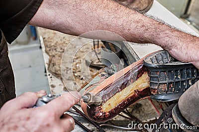 Shoemaker working in a workshop Stock Photo