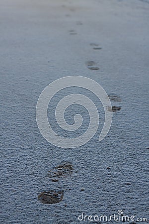 Fresh shoeprints on snow. Human feet traces, shoes imprints on snowy road Stock Photo