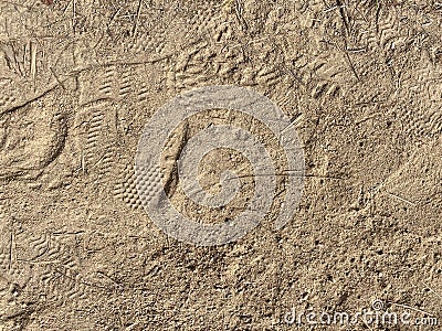 Shoeprints on a Trodden Path Stock Photo