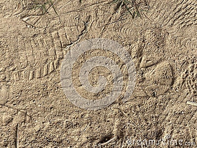 Shoeprints on a Trodden Path Stock Photo