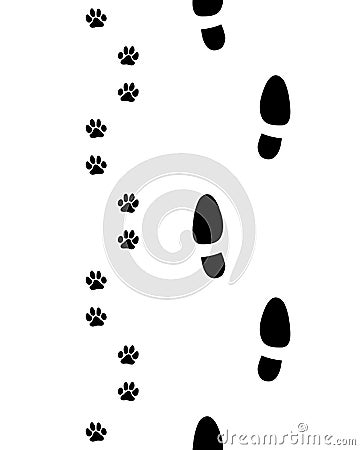 Shoes and paws Stock Photo