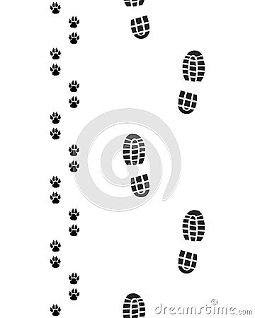 Shoes and paws Stock Photo