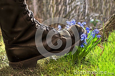 Shoes ruthlessly tramples flower Stock Photo