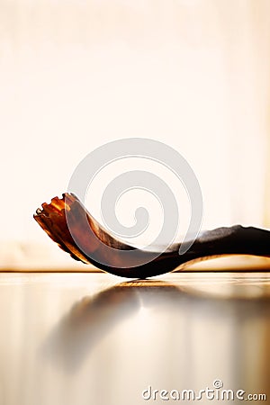 Shofar Stock Photo