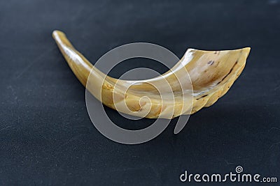 Shofar horn on black background. Stock Photo