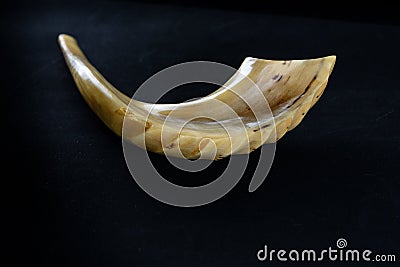 Shofar horn on black background. Stock Photo