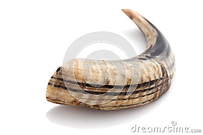 Shofar Stock Photo