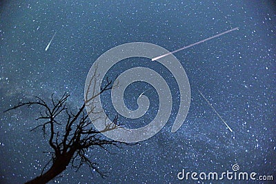 Shooting Stars Stock Photo