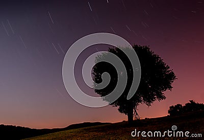 Shooting stars in night sky Stock Photo