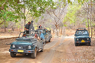 Shooting of wildlife documentary Editorial Stock Photo